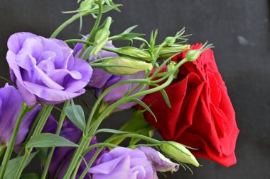 Tahta arka planda güzel bir buket kırmızı çiçek