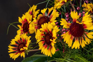 Parlak sarı ve turuncu çiçeklere yakın