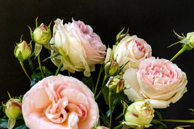 Güzel bir buket pembe gül siyah arka planda bir buket, üst manzara, kopyalama alanı