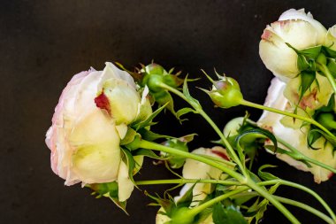 Vazodaki taze gülleri kapat.