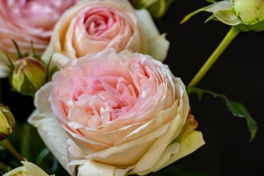 Vazoda pembe güller