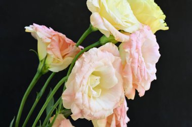 Gri arka planda güzel bir buket çiçek..