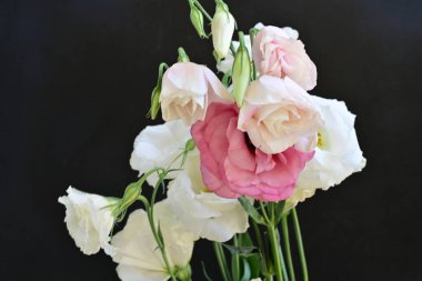 Siyah arkaplanda pembe ve beyaz Eustoma çiçeklerini kapat 