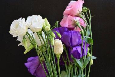 Siyah arkaplanda pembe, beyaz ve mor Eustoma çiçekleri 