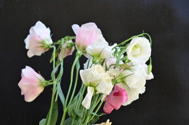 Siyah arkaplanda pembe ve beyaz Eustoma çiçeklerini kapat 