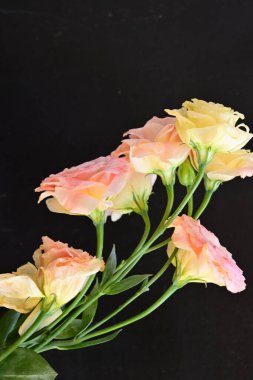 Siyah arka planda güzel bir buket çiçek.