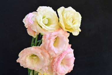 Beyaz arka planda güzel bir buket çiçek. Bahar çiçekleri bahar çiçekleri