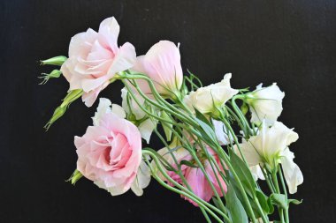 Çiçekli arka plan, güzel çiçekleri kapat.  