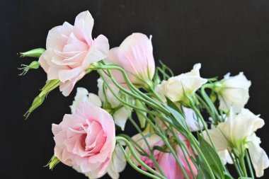 Çiçekli arka plan, güzel çiçekleri kapat.  