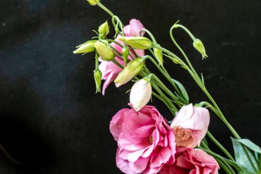 Siyah arkaplanda bir buket mutluluk. 