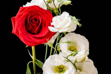 Güzel çiçeklerin yakın çekim görüntüsü, doğa konsepti arka plan 