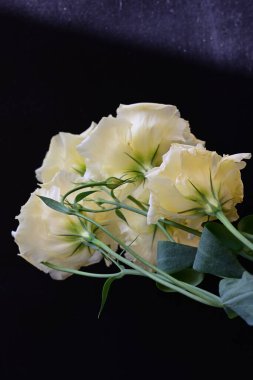 Koyu arkaplanda güzel narin çiçeklerin yakın plan görüntüsü    