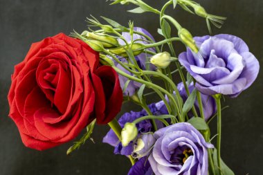 Siyah arka planda kırmızı gül ve Eustoma çiçekleri  