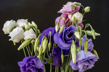 Bir buket güzel Eustoma çiçeği siyah arka planda 