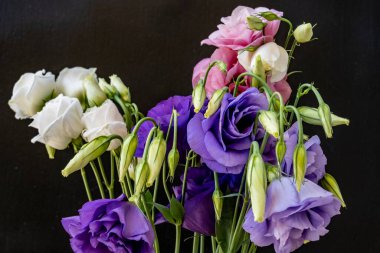 Bir buket güzel Eustoma çiçeği siyah arka planda 