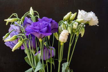 Bir buket güzel Eustoma çiçeği siyah arka planda 