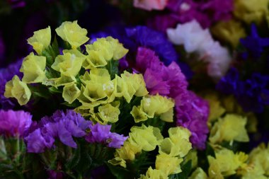 Güzel bir buket renkli çiçek siyah bir arkaplanda 