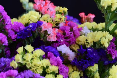 Güzel bir buket renkli çiçek siyah bir arkaplanda 