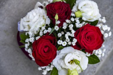 Güzel, narin çiçeklerin, doğal duvar kağıtlarının manzarasını kapat.       