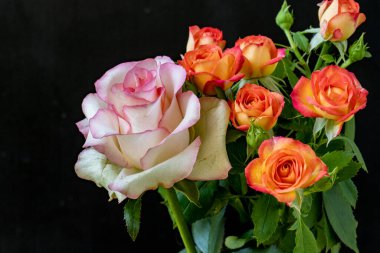 Güzel bir buket çiçek, güller 