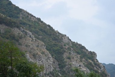 Dağlarda yeşil bitkiler ve kayalar 