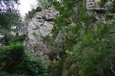 Dağlarda yeşil bitkiler ve kayalar 