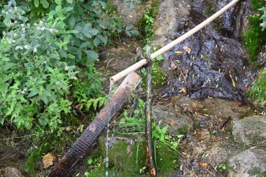 Doğal taşlar ve yeşillik arka planında güzel bir şelale