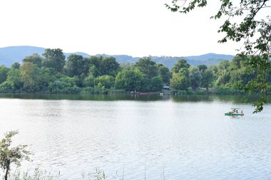 Yazın huzurlu kırsal manzaranın güzel manzarası