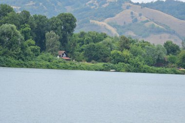 Yazın huzurlu kırsal manzaranın güzel manzarası