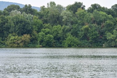 Göl manzaralı güzel bir manzara. 