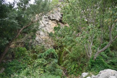 Güzel bir dağ manzarası Doğa manzarası 