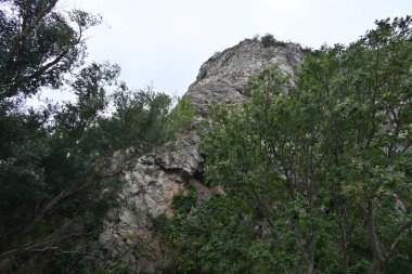 Güzel bir dağ manzarası Doğa manzarası 