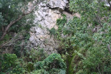 Güzel bir dağ manzarası Doğa manzarası 