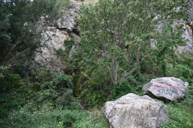 Güzel bir dağ manzarası Doğa manzarası 