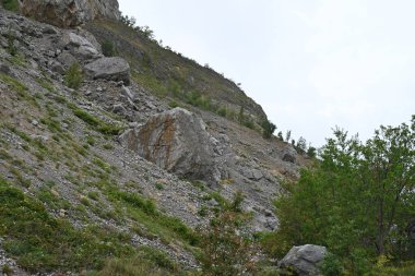 Yazın huzurlu kırsal manzaranın güzel manzarası