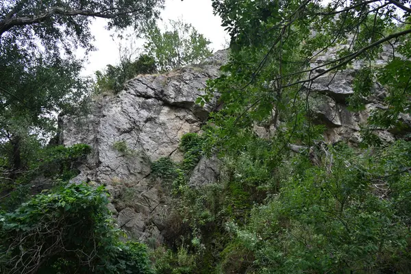 Kayalar ve ağaçlarla kaplı dağ manzarası 