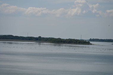 Arka planda bitki örtüsüyle kaplı bir nehir manzarası.