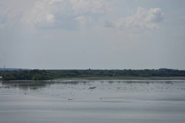 Arka planda bitki örtüsüyle kaplı bir nehir manzarası.