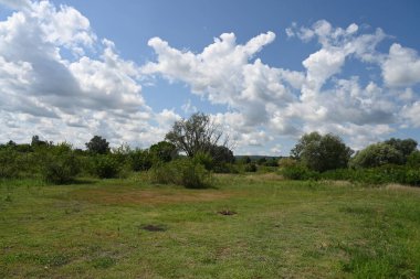 Yazın huzurlu kırsal manzaranın güzel manzarası