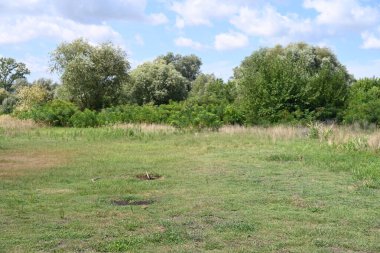 Yazın huzurlu kırsal manzaranın güzel manzarası