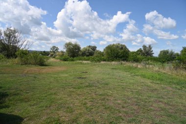 Yazın huzurlu kırsal manzaranın güzel manzarası