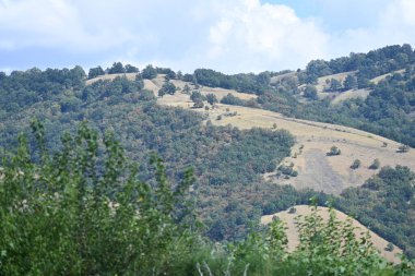 Manzaralı dağları ve yeşil ağaçları olan güzel bir manzara.          