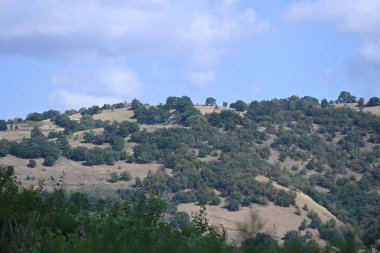 Manzaralı dağları ve yeşil ağaçları olan güzel bir manzara.          