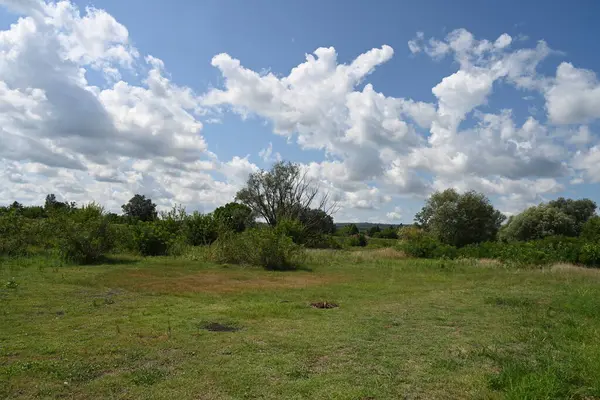 Yazın huzurlu kırsal manzaranın güzel manzarası