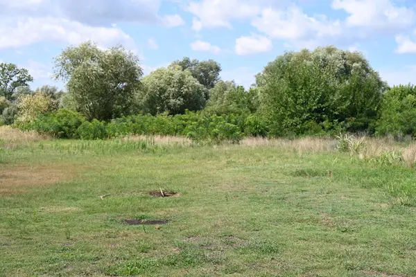 Yazın huzurlu kırsal manzaranın güzel manzarası