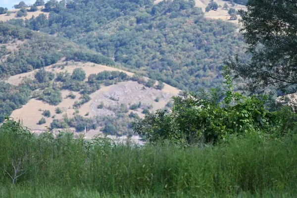 Manzaralı dağları ve yeşil ağaçları olan güzel bir manzara.          