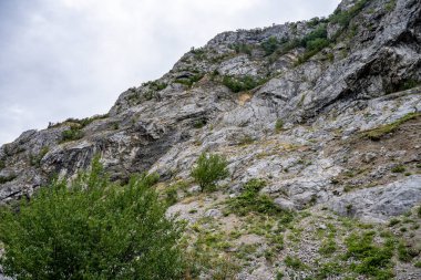 Yazın huzurlu kırsal manzaranın güzel manzarası