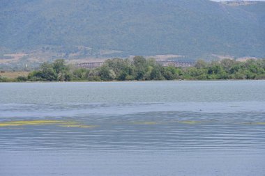 Dağlardaki nehrin güzel manzarası