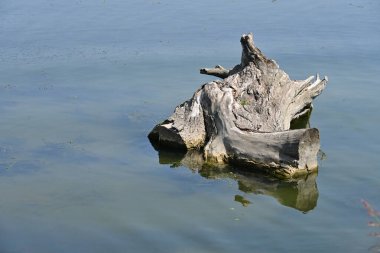 Dağlardaki nehrin güzel manzarası