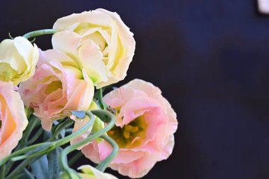 Güzel Eustoma çiçeklerinden oluşan buketi kapat. 